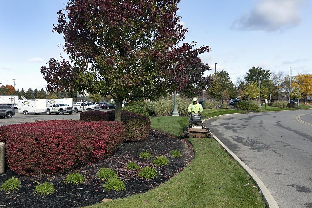 essential-commercial-leaf-removal-services-for-fall